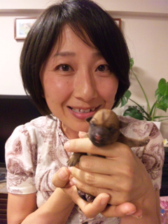 image-20110709121332.png